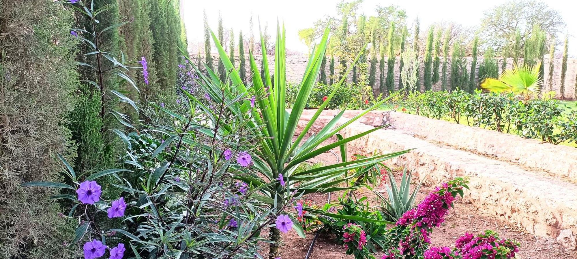 Villa Iyad Essaouira Ngoại thất bức ảnh
