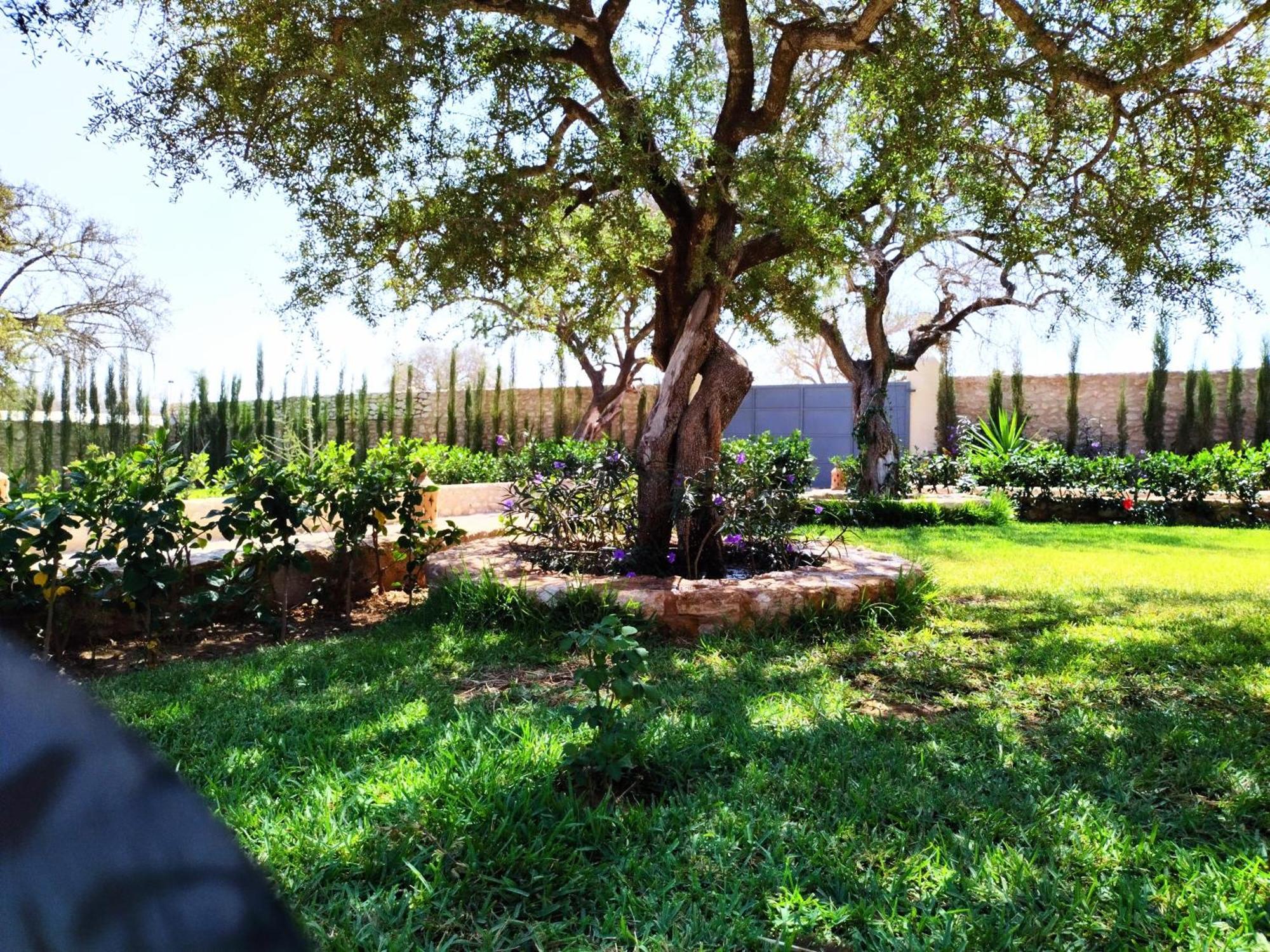 Villa Iyad Essaouira Ngoại thất bức ảnh