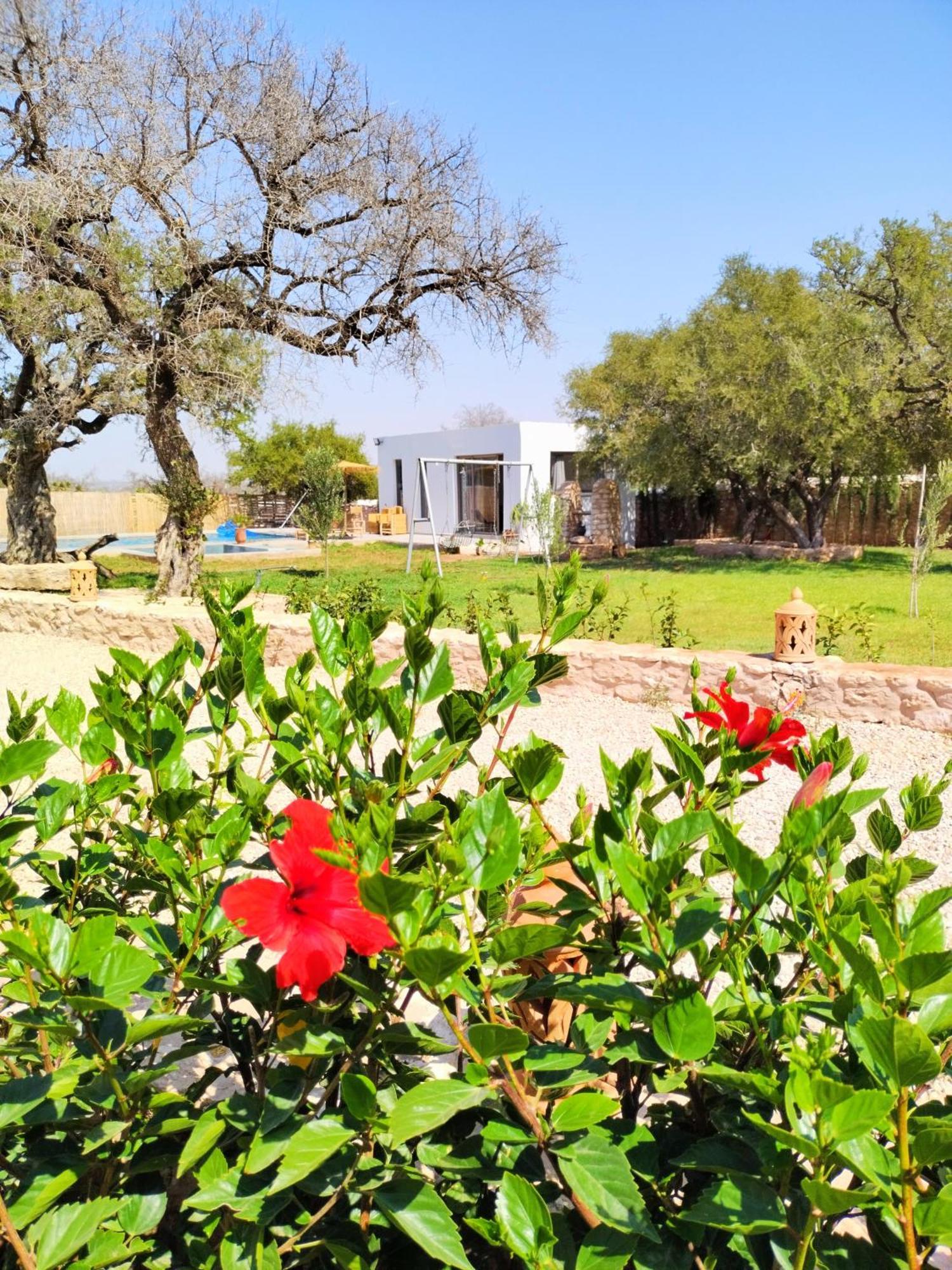 Villa Iyad Essaouira Ngoại thất bức ảnh